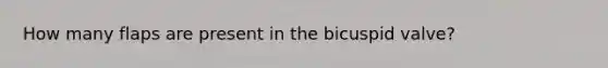 How many flaps are present in the bicuspid valve?