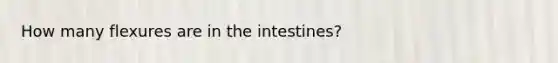 How many flexures are in the intestines?