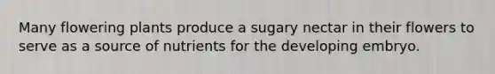 Many flowering plants produce a sugary nectar in their flowers to serve as a source of nutrients for the developing embryo.