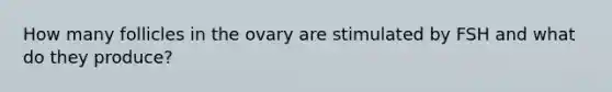 How many follicles in the ovary are stimulated by FSH and what do they produce?