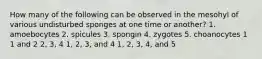 How many of the following can be observed in the mesohyl of various undisturbed sponges at one time or another? 1. amoebocytes 2. spicules 3. spongin 4. zygotes 5. choanocytes 1 1 and 2 2, 3, 4 1, 2, 3, and 4 1, 2, 3, 4, and 5