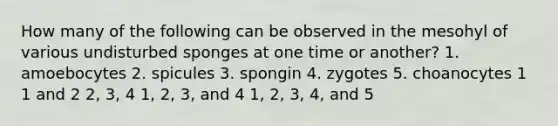 How many of the following can be observed in the mesohyl of various undisturbed sponges at one time or another? 1. amoebocytes 2. spicules 3. spongin 4. zygotes 5. choanocytes 1 1 and 2 2, 3, 4 1, 2, 3, and 4 1, 2, 3, 4, and 5