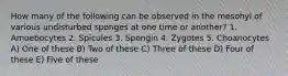How many of the following can be observed in the mesohyl of various undisturbed sponges at one time or another? 1. Amoebocytes 2. Spicules 3. Spongin 4. Zygotes 5. Choanocytes A) One of these B) Two of these C) Three of these D) Four of these E) Five of these