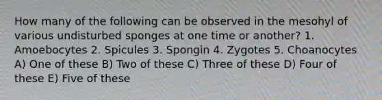 How many of the following can be observed in the mesohyl of various undisturbed sponges at one time or another? 1. Amoebocytes 2. Spicules 3. Spongin 4. Zygotes 5. Choanocytes A) One of these B) Two of these C) Three of these D) Four of these E) Five of these