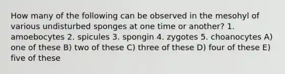 How many of the following can be observed in the mesohyl of various undisturbed sponges at one time or another? 1. amoebocytes 2. spicules 3. spongin 4. zygotes 5. choanocytes A) one of these B) two of these C) three of these D) four of these E) five of these