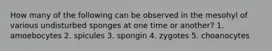 How many of the following can be observed in the mesohyl of various undisturbed sponges at one time or another? 1. amoebocytes 2. spicules 3. spongin 4. zygotes 5. choanocytes