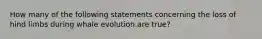 How many of the following statements concerning the loss of hind limbs during whale evolution are true?