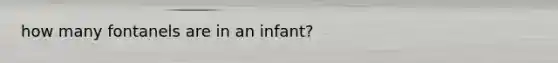 how many fontanels are in an infant?