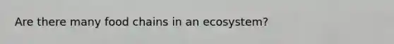 Are there many food chains in an ecosystem?