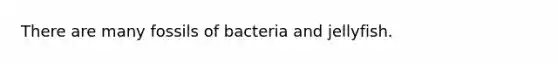 There are many fossils of bacteria and jellyfish.