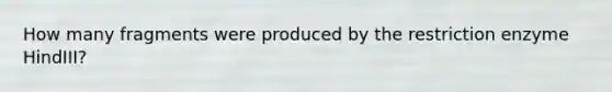 How many fragments were produced by the restriction enzyme HindIII?