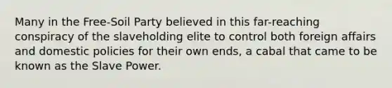 Many in the Free-Soil Party believed in this far-reaching conspiracy of the slaveholding elite to control both foreign affairs and domestic policies for their own ends, a cabal that came to be known as the Slave Power.