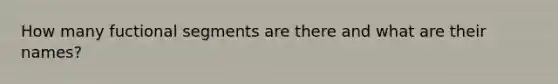 How many fuctional segments are there and what are their names?