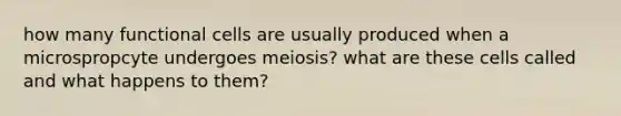 how many functional cells are usually produced when a microspropcyte undergoes meiosis? what are these cells called and what happens to them?