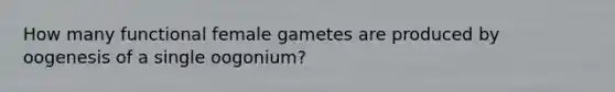 How many functional female gametes are produced by oogenesis of a single oogonium?