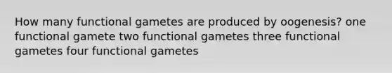 How many functional gametes are produced by oogenesis? one functional gamete two functional gametes three functional gametes four functional gametes