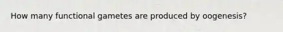 How many functional gametes are produced by oogenesis?