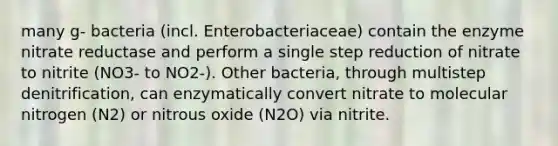 many g- bacteria (incl. Enterobacteriaceae) contain the enzyme nitrate reductase and perform a single step reduction of nitrate to nitrite (NO3- to NO2-). Other bacteria, through multistep denitrification, can enzymatically convert nitrate to molecular nitrogen (N2) or nitrous oxide (N2O) via nitrite.