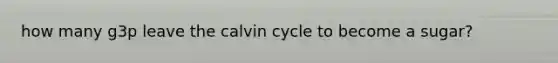 how many g3p leave the calvin cycle to become a sugar?