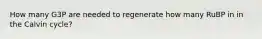 How many G3P are needed to regenerate how many RuBP in in the Calvin cycle?