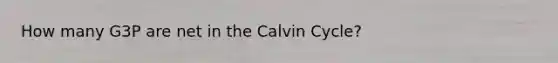 How many G3P are net in the Calvin Cycle?