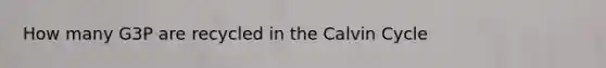 How many G3P are recycled in the Calvin Cycle