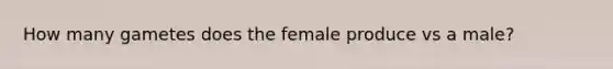 How many gametes does the female produce vs a male?