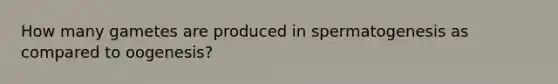 How many gametes are produced in spermatogenesis as compared to oogenesis?