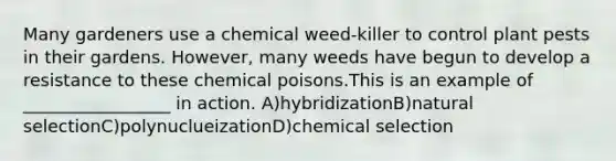 Many gardeners use a chemical weed-killer to control plant pests in their gardens. However, many weeds have begun to develop a resistance to these chemical poisons.This is an example of _________________ in action. A)hybridizationB)natural selectionC)polynuclueizationD)chemical selection