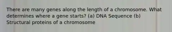 There are many genes along the length of a chromosome. What determines where a gene starts? (a) DNA Sequence (b) Structural proteins of a chromosome