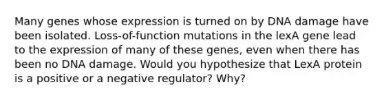 Many genes whose expression is turned on by DNA damage have been isolated. Loss-of-function mutations in the lexA gene lead to the expression of many of these genes, even when there has been no DNA damage. Would you hypothesize that LexA protein is a positive or a negative regulator? Why?