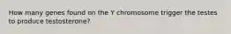 How many genes found on the Y chromosome trigger the testes to produce testosterone?