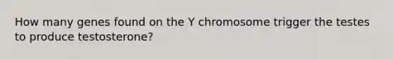 How many genes found on the Y chromosome trigger the testes to produce testosterone?