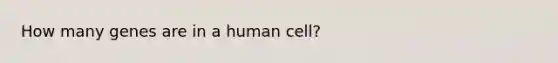 How many genes are in a human cell?