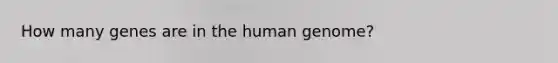 How many genes are in the human genome?