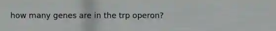 how many genes are in the trp operon?