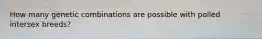 How many genetic combinations are possible with polled intersex breeds?