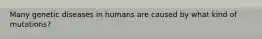 Many genetic diseases in humans are caused by what kind of mutations?