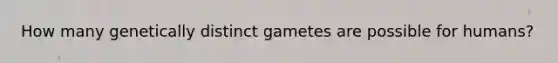 How many genetically distinct gametes are possible for humans?