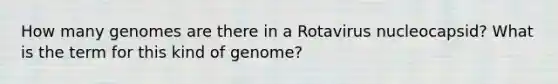 How many genomes are there in a Rotavirus nucleocapsid? What is the term for this kind of genome?