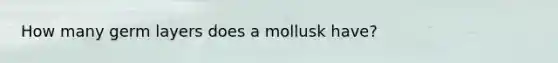 How many germ layers does a mollusk have?