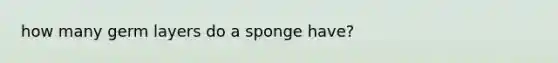 how many germ layers do a sponge have?