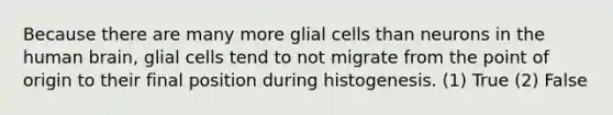 Because there are many more glial cells than neurons in the human brain, glial cells tend to not migrate from the point of origin to their final position during histogenesis. (1) True (2) False