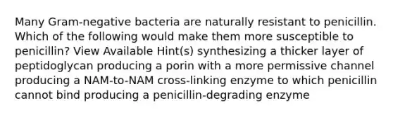 Many Gram-negative bacteria are naturally resistant to penicillin. Which of the following would make them more susceptible to penicillin? View Available Hint(s) synthesizing a thicker layer of peptidoglycan producing a porin with a more permissive channel producing a NAM-to-NAM cross-linking enzyme to which penicillin cannot bind producing a penicillin-degrading enzyme