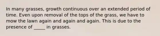 In many grasses, growth continuous over an extended period of time. Even upon removal of the tops of the grass, we have to mow the lawn again and again and again. This is due to the presence of _____ in grasses.