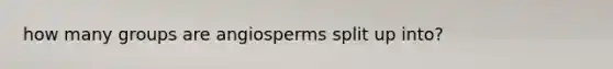 how many groups are angiosperms split up into?