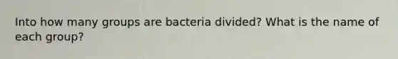 Into how many groups are bacteria divided? What is the name of each group?