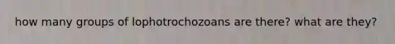 how many groups of lophotrochozoans are there? what are they?