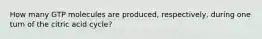 How many GTP molecules are produced, respectively, during one turn of the citric acid cycle?