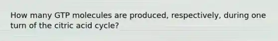 How many GTP molecules are produced, respectively, during one turn of the citric acid cycle?